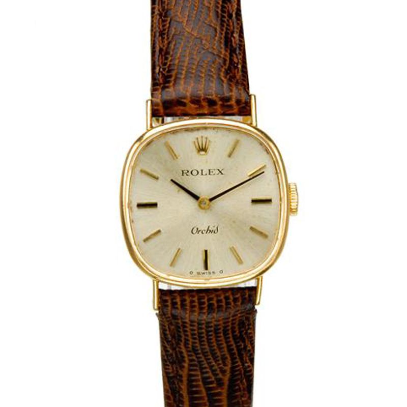 b2m_fossil